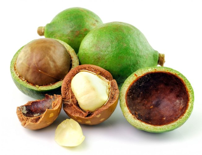 Масло Макадамии водорастворимое  